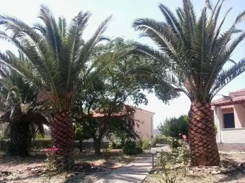 Bird Watching Oasis Skala Kallonis