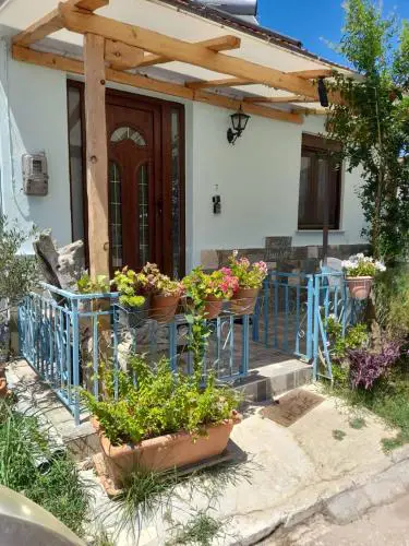 BACI HOUSE
