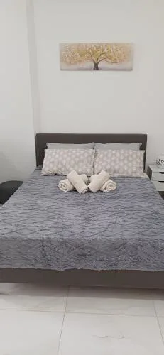 Modern apartment