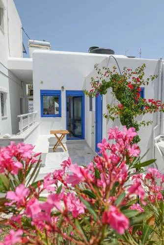 Rose of Tinos
