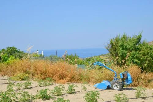 Alkyonis Apartment Milos