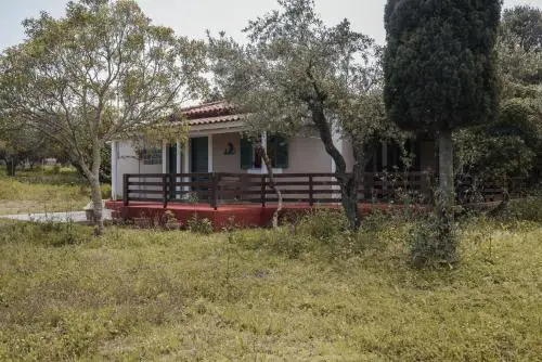 Lithies Organic Farm