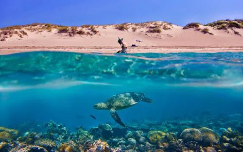 Tortuga Dafni Bay Villas Diver's Paradise by "elite"