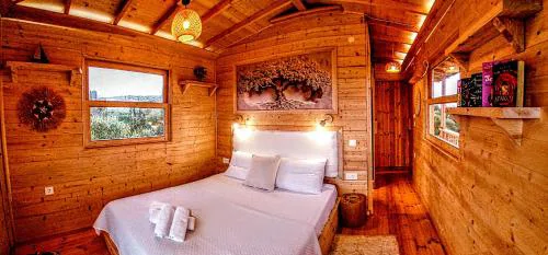 Magic treehouse