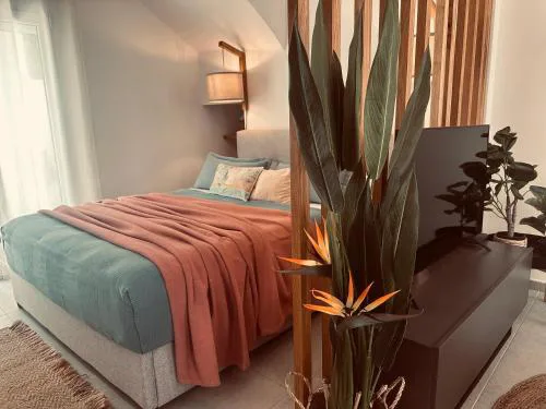 Tzane Luxury Suites - Luxury Suites in the City Center for Comfort & Privacy By Villa Mana Gers