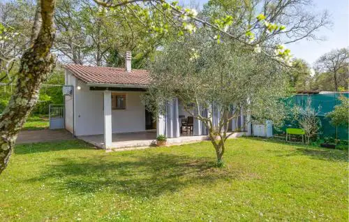 Gorgeous Home In Valbandon With Wifi
