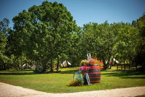 Camping Freedom Istria Pitches