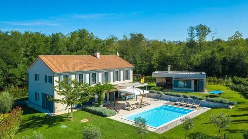 Luxury villa Povetica with pool in Vizinada
