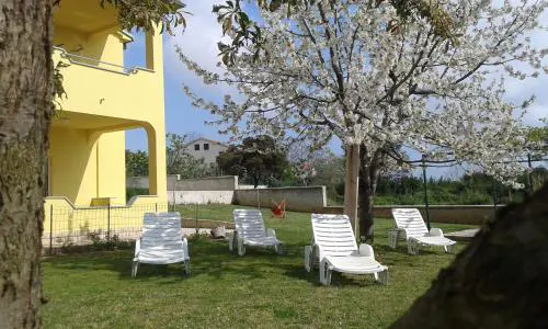 Guest house MIA