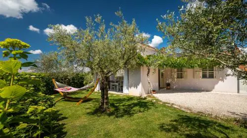 Beautiful Villa GF25 with pool in Visnjan