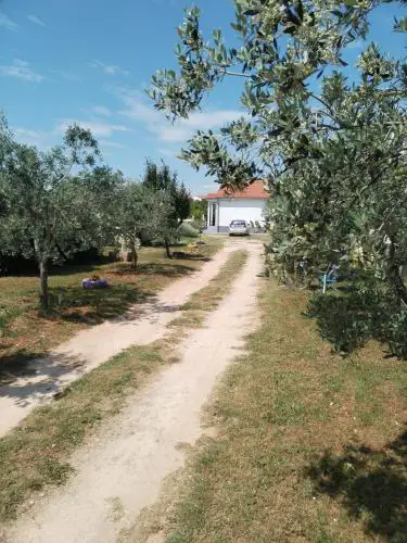 Apartman Grbić