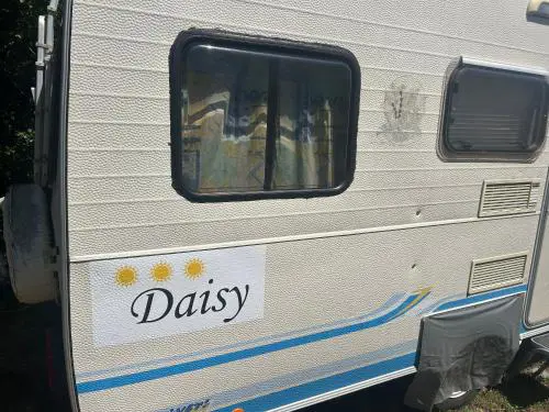 Daisy Kamper