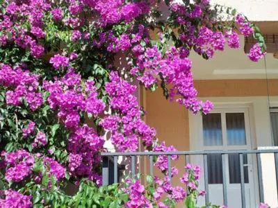 Holiday Flat