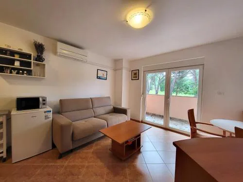 Apartment Sana