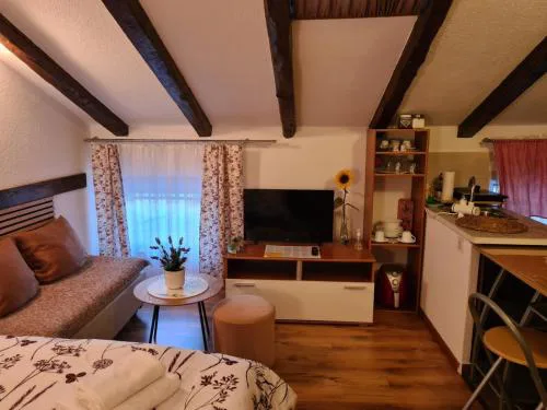Apartmani Viola