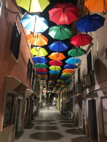 Apartment Novigrad Centre
