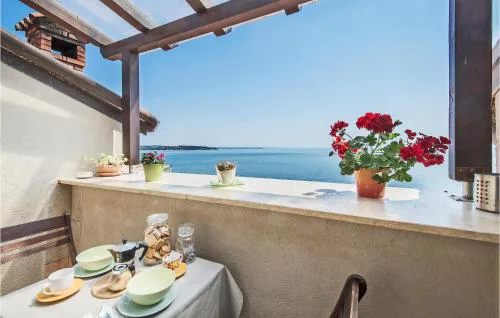 Cozy Apartment In Novigrad With Wifi