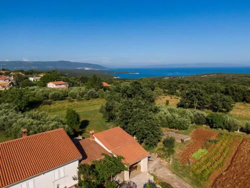 Apartman Viridis