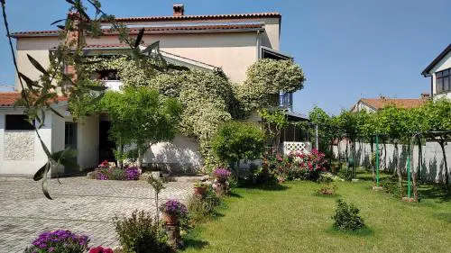 Apartments Saša - pets friendly!