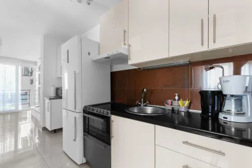 Grivičić Apartment C