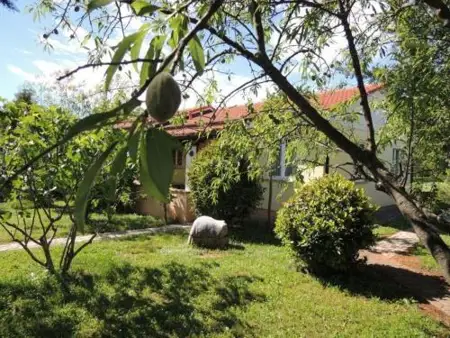 Residence Lorena Ferienhaus mit Salzwasser-Pool und Garten in Porec