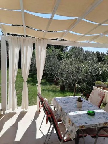 Aldo Garden View