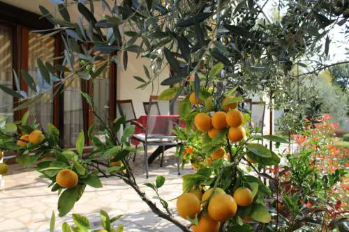 APARTMAN PAGANOR