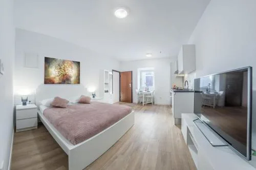 Apartment Klara FREE parking, center