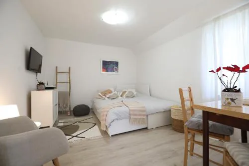 Apartment Mir