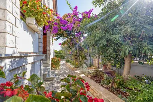 Apartments Azra
