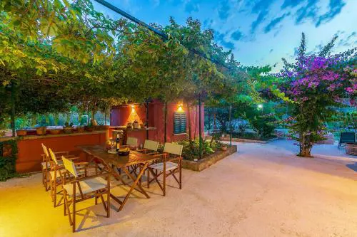 House Bougainvillea