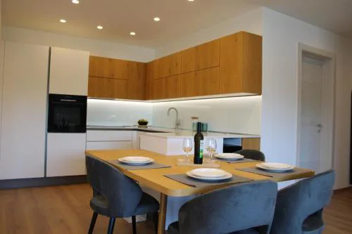 Luxury Apartment Mirjana