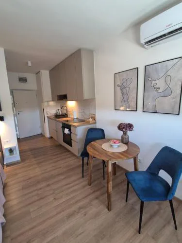 Studio apartment HAna