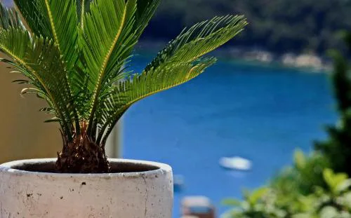 Apartment in Rabac 16698