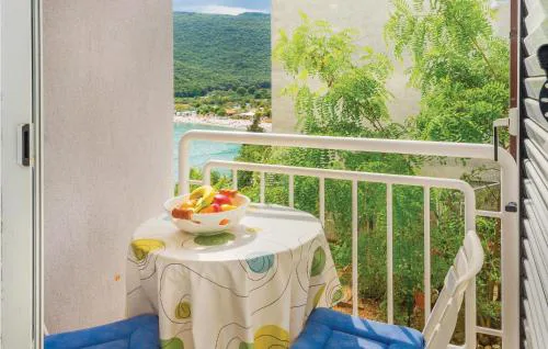 Apartment Rudarska Vi