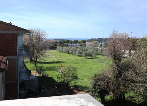 Apartment Dado