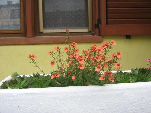 Apartment Meridiana