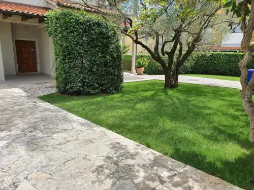 Apartments Cocaletto5