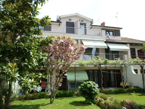 Kamelija