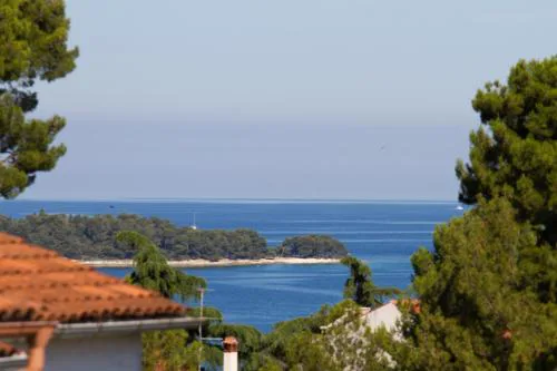 Studio Apartman Nega 1
