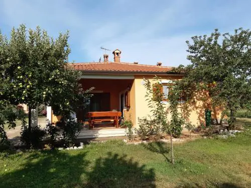 Apartman Lena Umag
