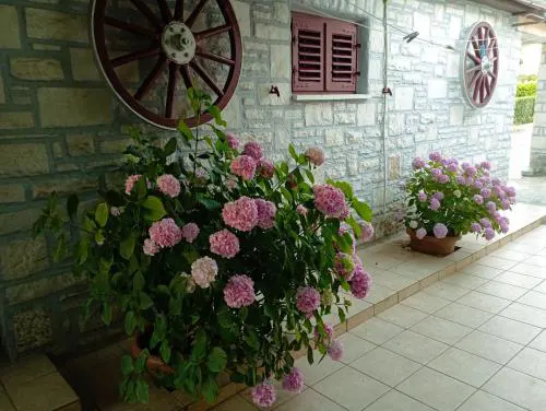 Apartman Sunce