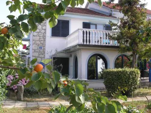 City center Lavanda