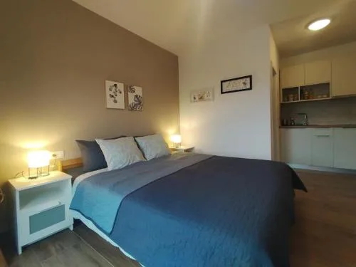 Studio Apartman Runko