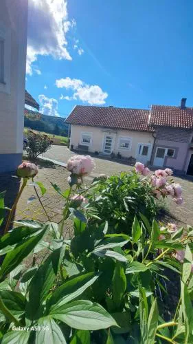 Apartman Kristina