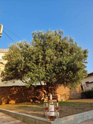Apartmani studio apartmani Senjska maslina
