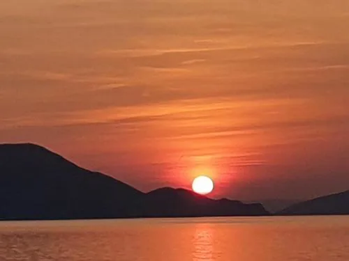 Sunčica