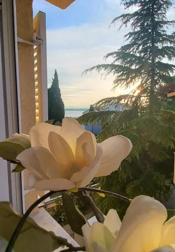 Apartman Rosi