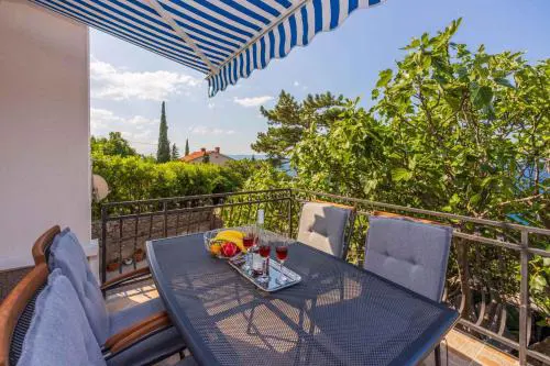 Apartment in Dramalj 45033
