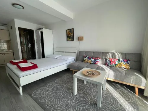 Studio Mira